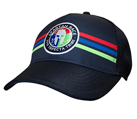 STRIPE TRUCKER HAT